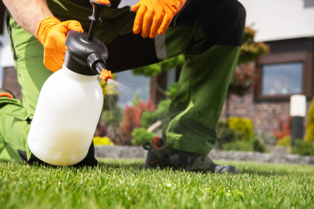 Best Bed Bug Extermination  in Lakewood Clu, MI