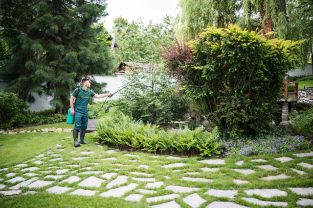 Best Cockroach Control Services  in Lakewood Clu, MI
