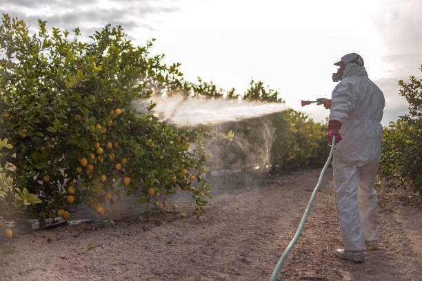Lakewood Clu, MI Pest Control Company