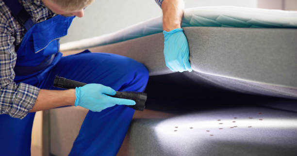 Best Best Pest Control Companies  in Lakewood Clu, MI