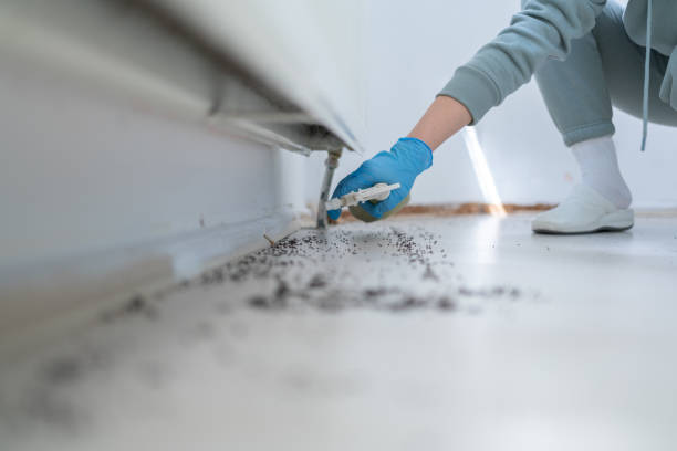 Best Ant Control Services  in Lakewood Clu, MI